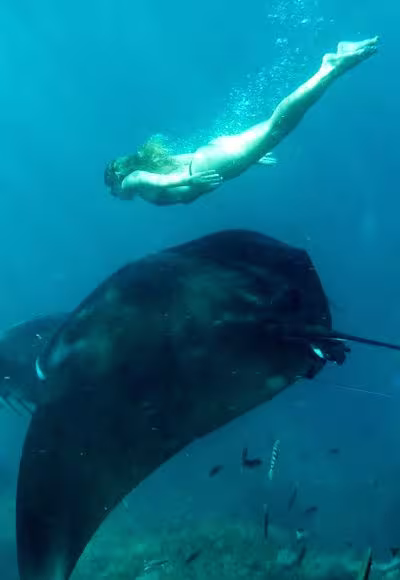 Diving Activities Diving Activities